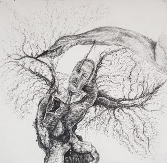 untitled, 2022, natural charcoal on paper, 73X74 cm