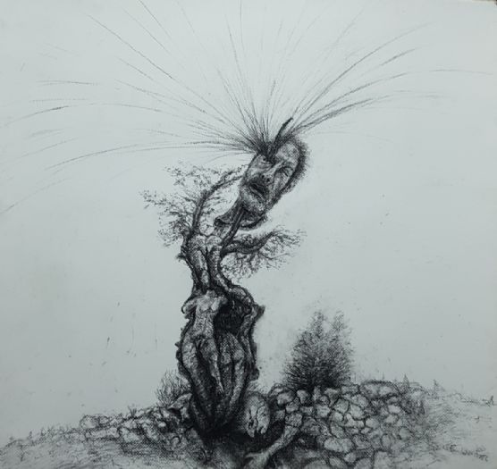 untitled, 2022, natural charcoal on paper, 72X74 cm